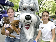 Maddie with potential adopters and pups